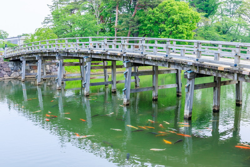 新潟のwebデザインスクール