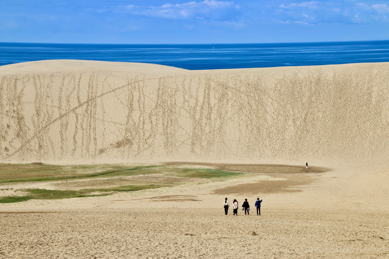 鳥取のwebデザインスクール